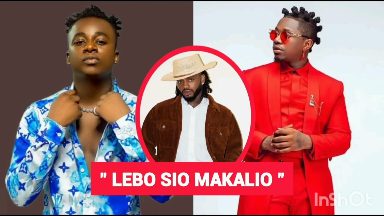 DIAMOND PLATNUMZ ATUPA DOGO KWA RAYVVANY KUHUSU LEBE AANDIKA HAYA KWA MACK VOICE 