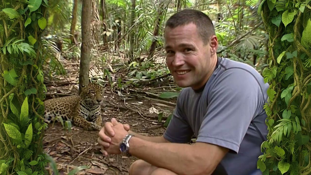 Jaguar encounter!￼