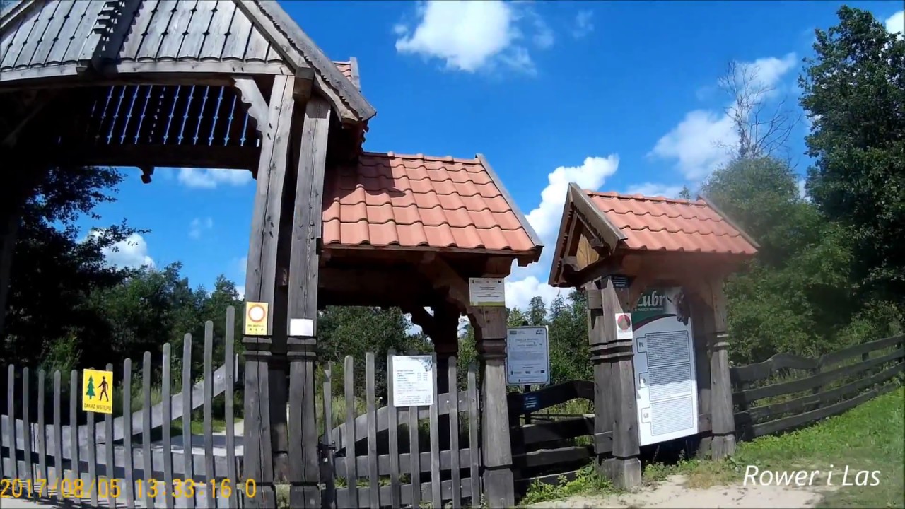 Ostoja żubrów (Wolisko )  -Puszcza Borecka