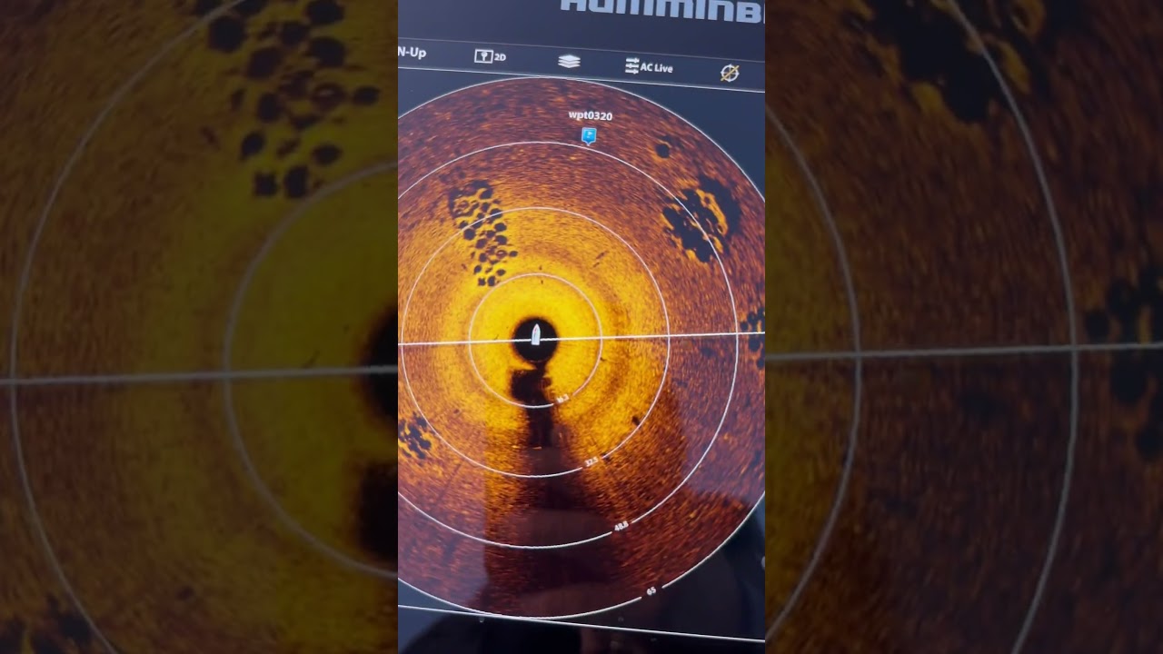 Humminbird MEGA 360 и MEGA Live в ландшафтном режиме #humminbird #ffs