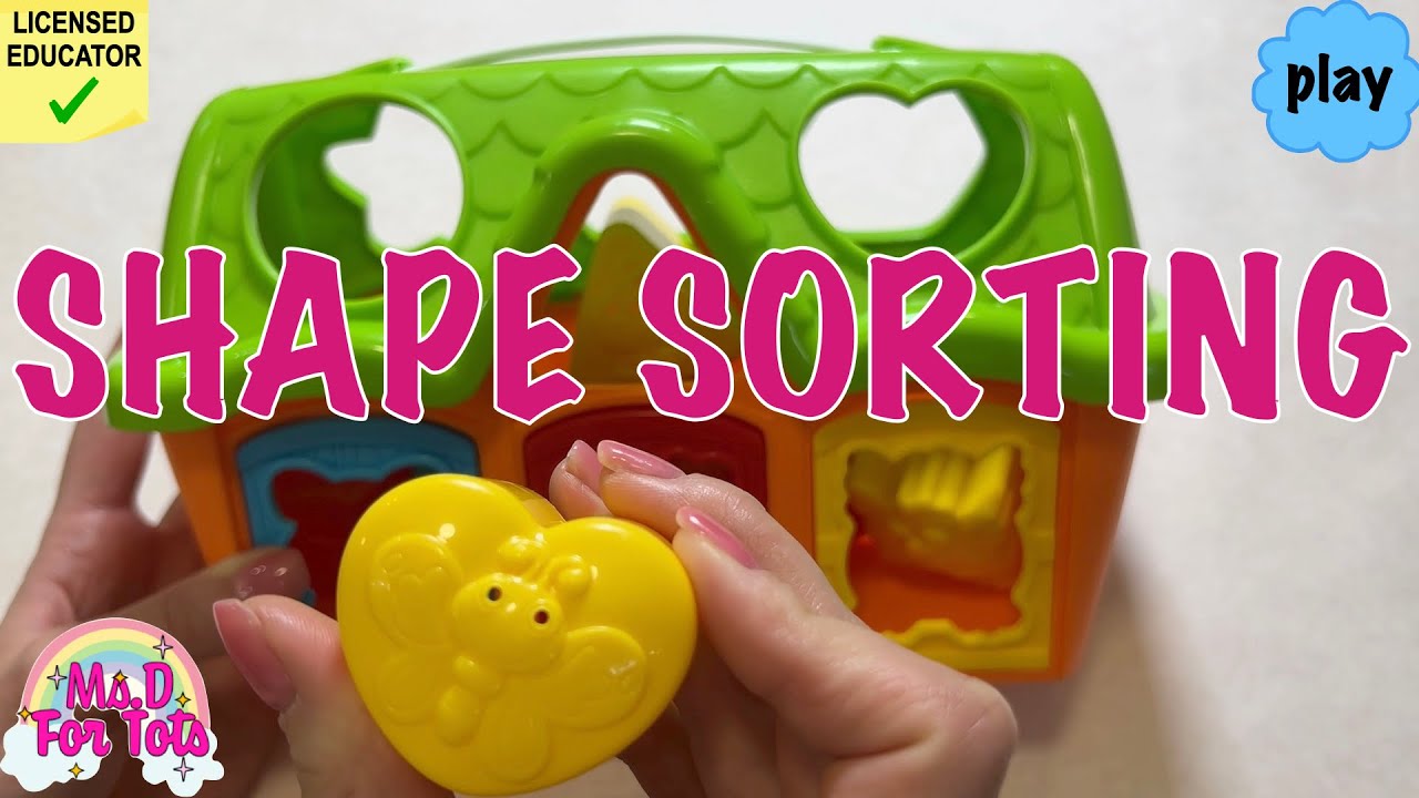 Shape Sorting Toy