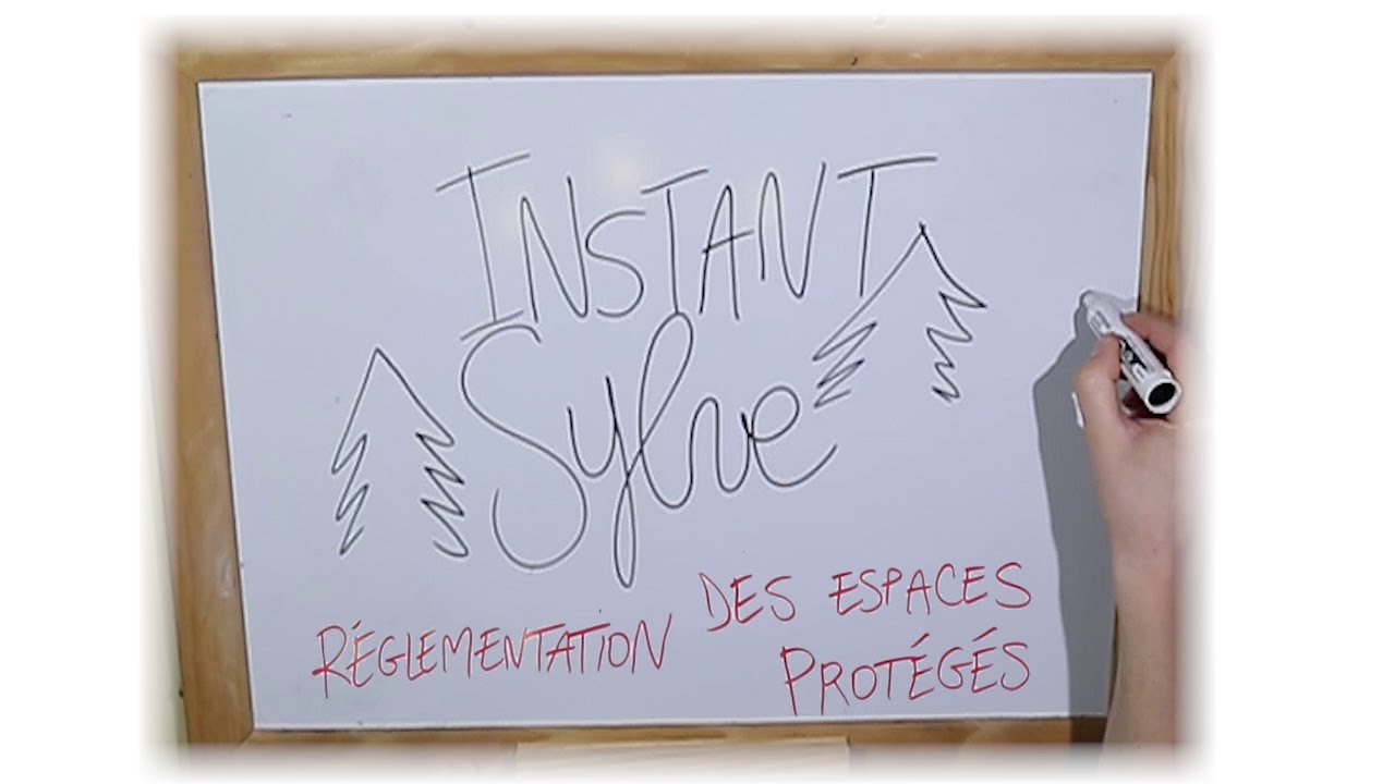 L'INSTANT SYLVE, Épisode 06 : Réglementation des espaces protégés (partie 1)
