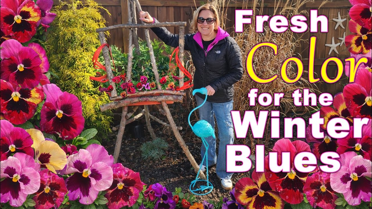 Beating the Winter Blues with Color | My Carolina Garden & Porch Refresh