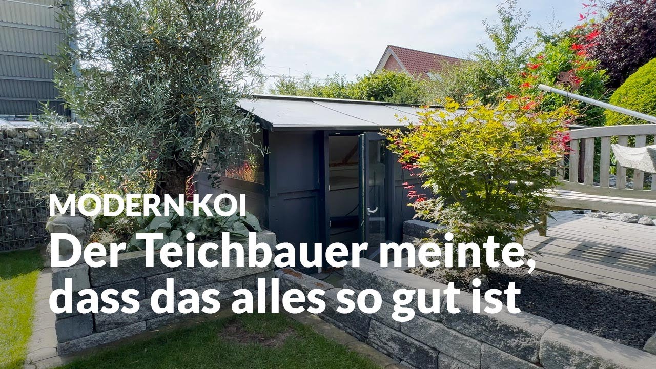 Hermanns lächerlich kleiner Filter | Modern Koi Blog #7211