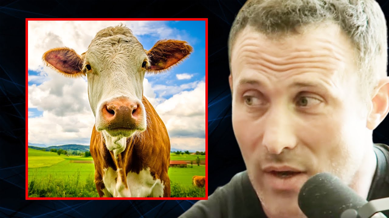 Is Beef TRULY an Ancestral Food? | Dr. Anthony Chaffee