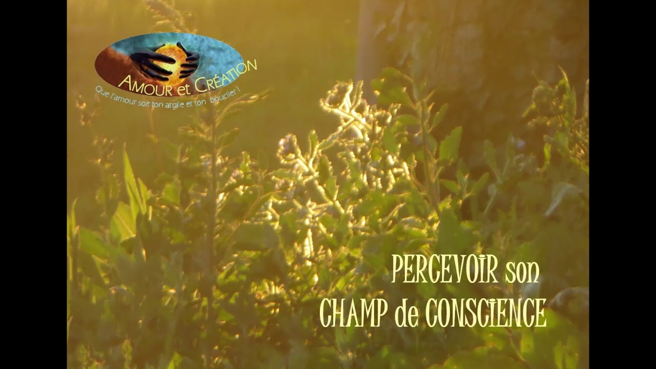 Percevoir son champ de conscience