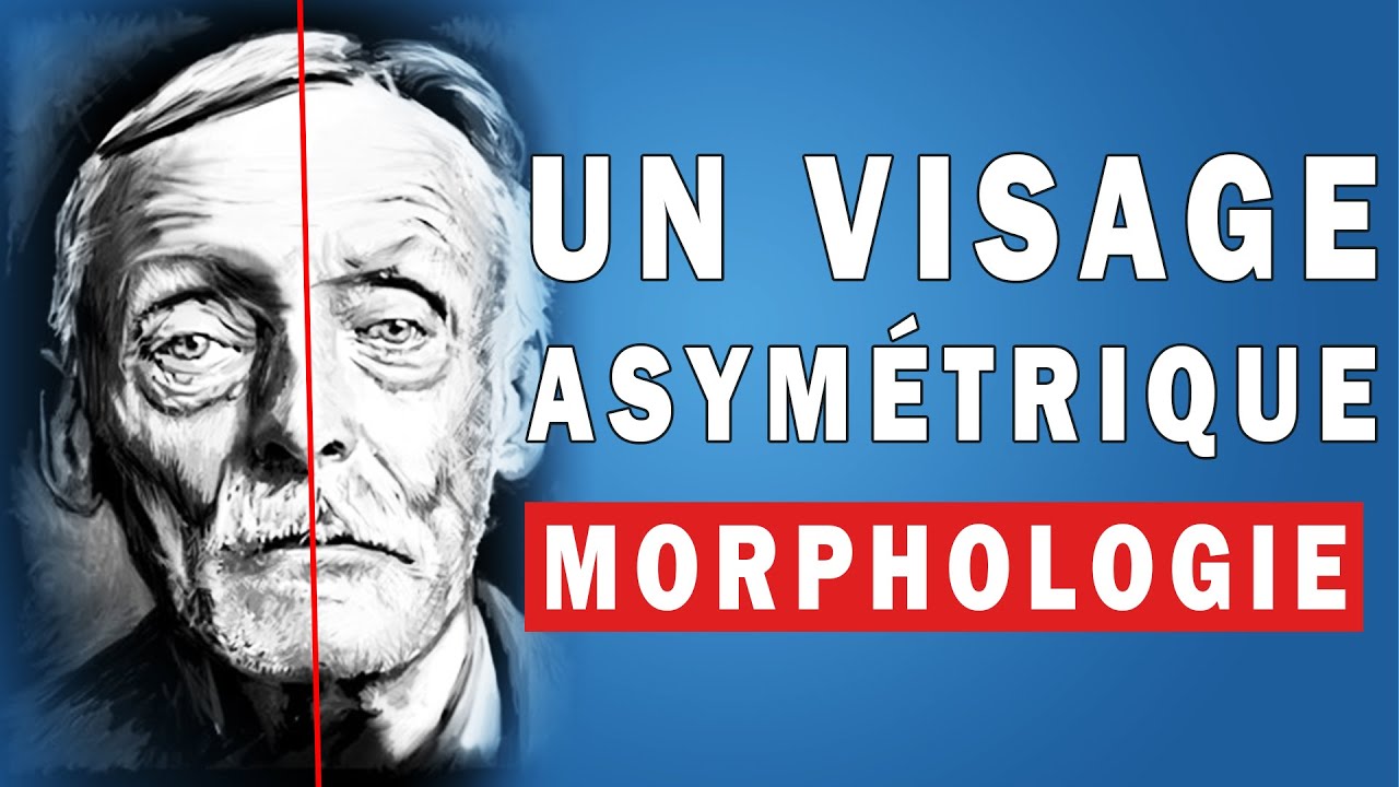 🥴 La Dissymétrie Du Visage en Psychomorphologie (MORPHOLOGIE)