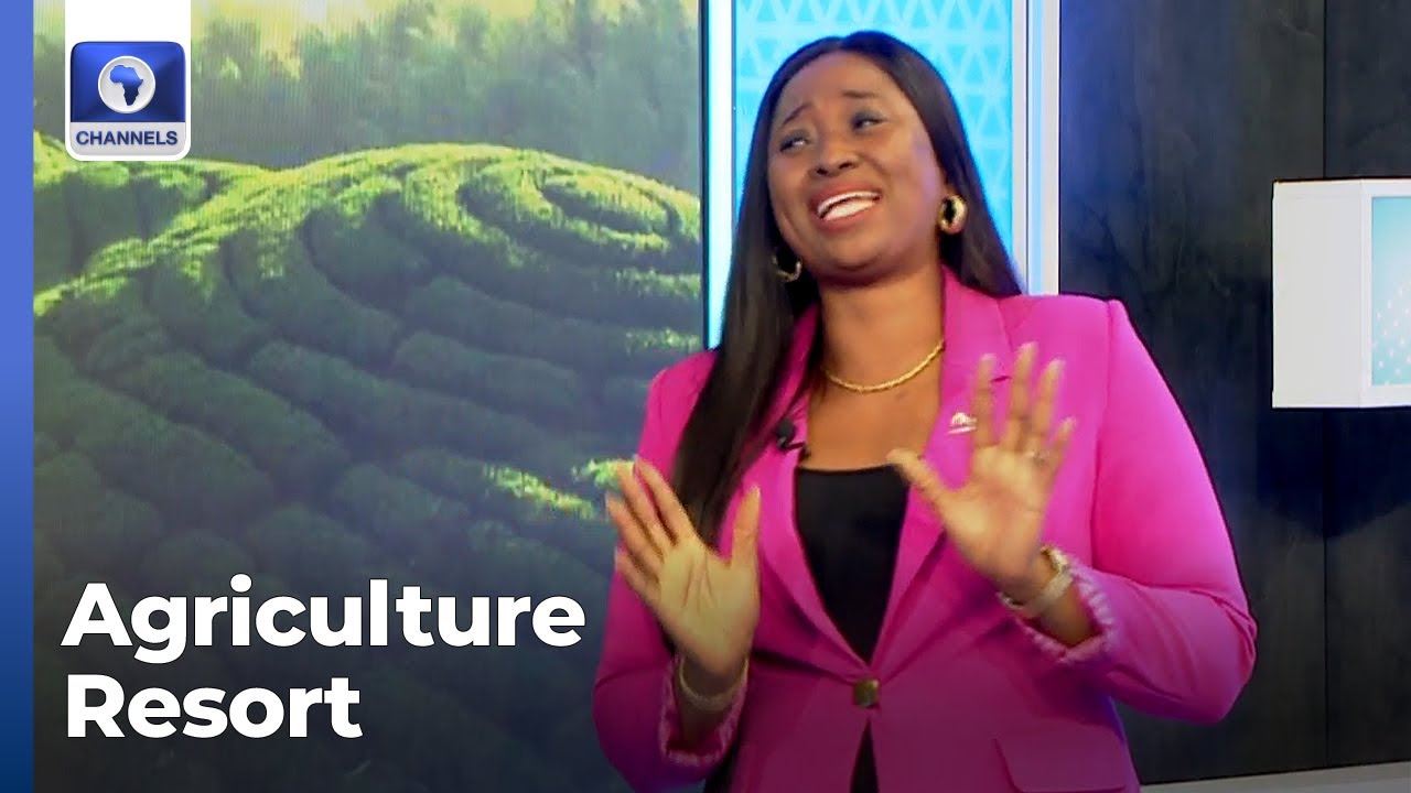 Xtralarge Farms Speaks On Farm Resort In Nigeria