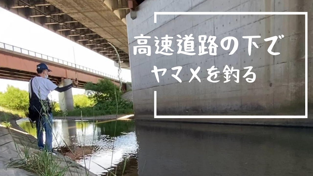 札幌のド真ん中でヤマメを釣る