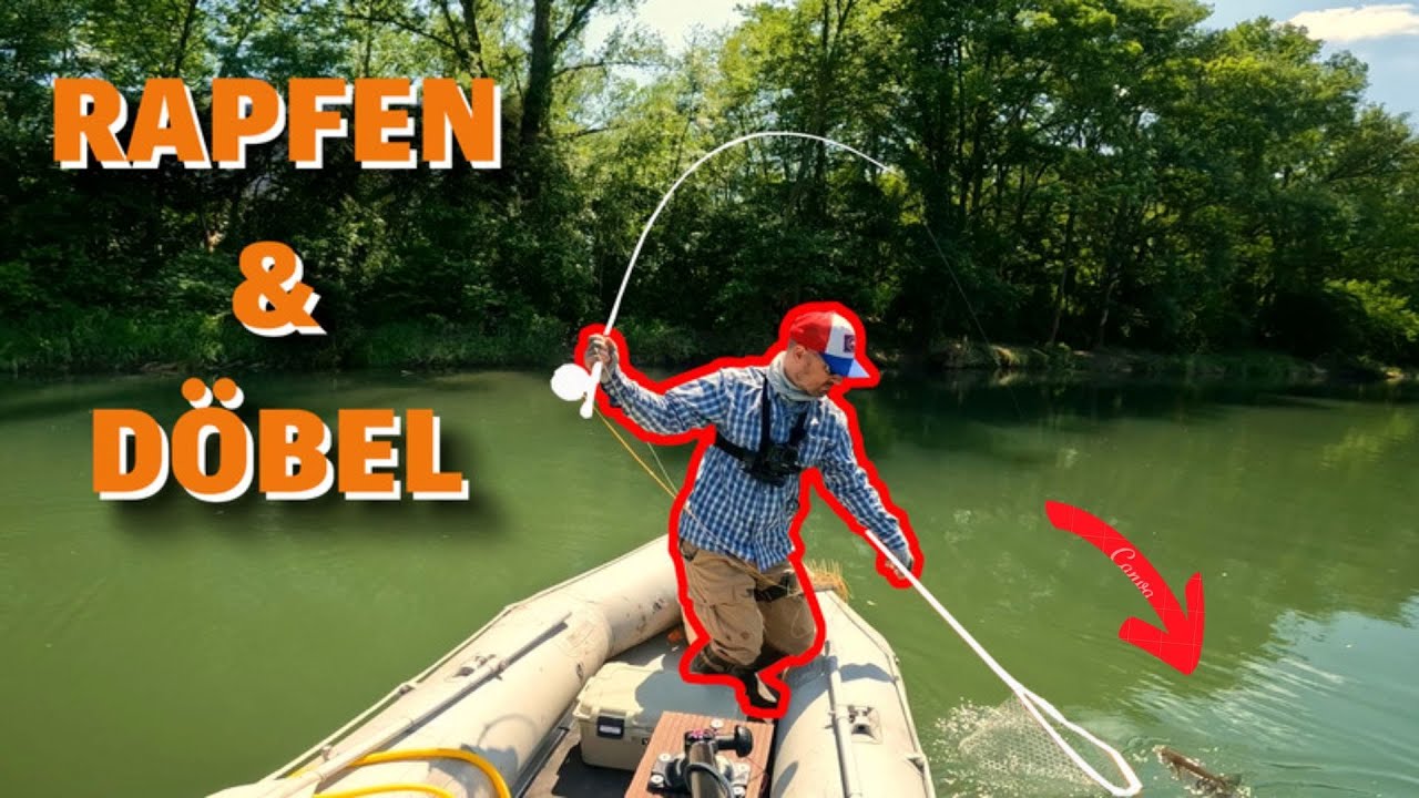 Fliegenfischen auf Rapfen & Döbel vom Boot + Tipps & Tricks!