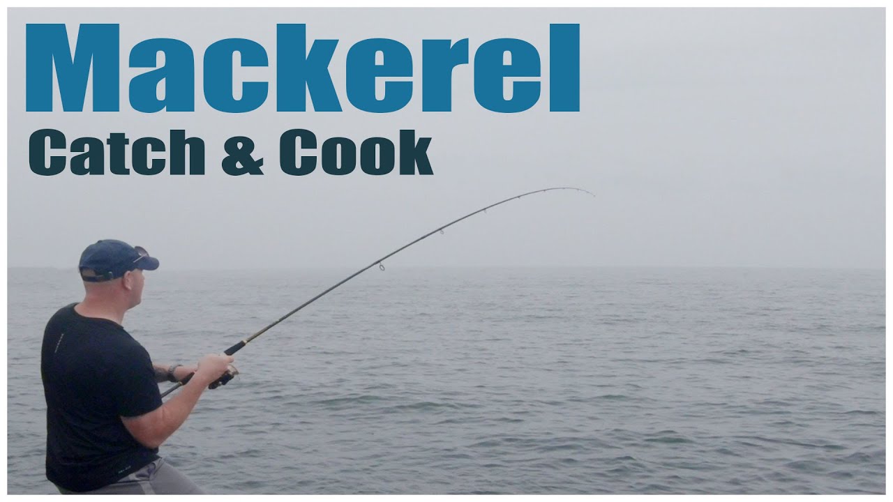 Spinning for Mackerel from the rocks - Catch and Cook | Sea Fishing UK