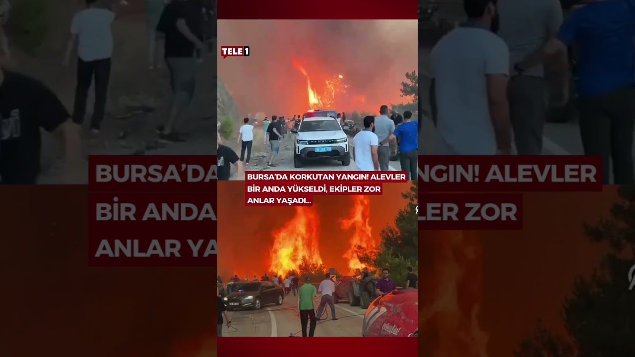 Bursa G&uuml;rsu il&ccedil;esinde &ccedil;ıkan orman yangınında alevler bir anda y&uuml;kseldi!