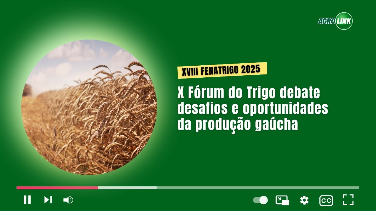X F&oacute;rum do Trigo debate desafios e oportunidades da produ&ccedil;&atilde;o ga&uacute;cha