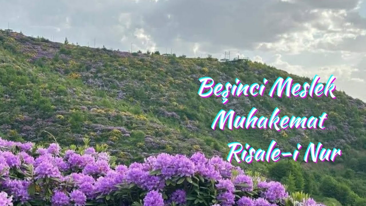 Beşinci Meslek, Muhakemat, Risale-i Nur