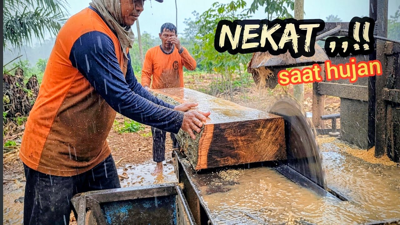 Menggergaji kayu saat Hujan lebat - Mesin serkel rakitan 