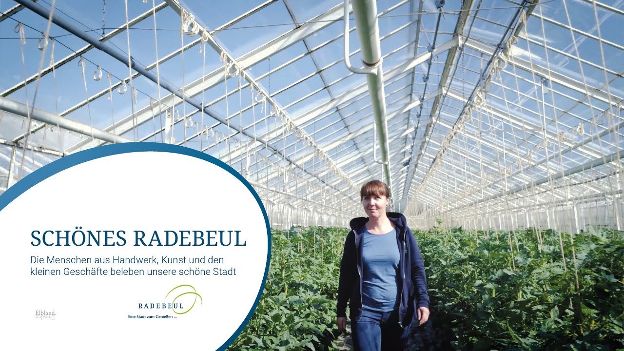 Schönes Radebeul