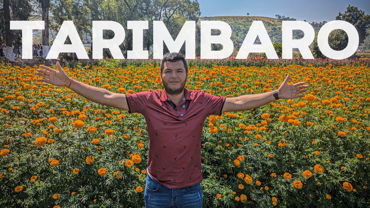 TARIMBARO MICHOACÁN | Deliciosa GASTRONOMIA - Feria de la FLOR de CEMPASUCHIL 2024