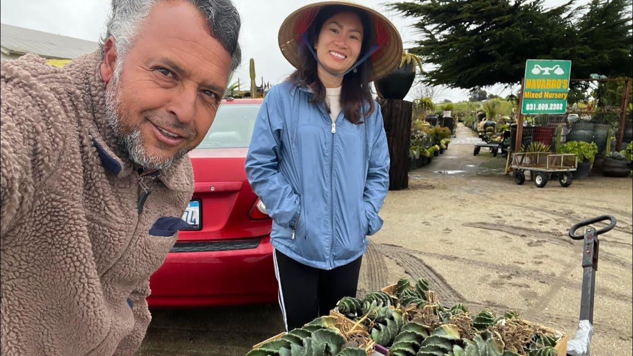 Navarro's Mixed Nursery & General landscape design ❤️🌵1700 Watsonville Rd, Castroville, CA 95012