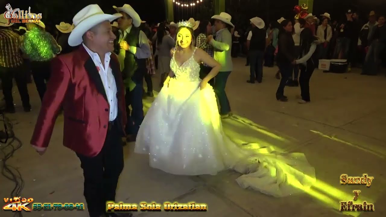 🐦TRIO LOS GALLITOS DEL BERNAL🐦fiesta de boda en palmasola orizatlan hgo.👇💥