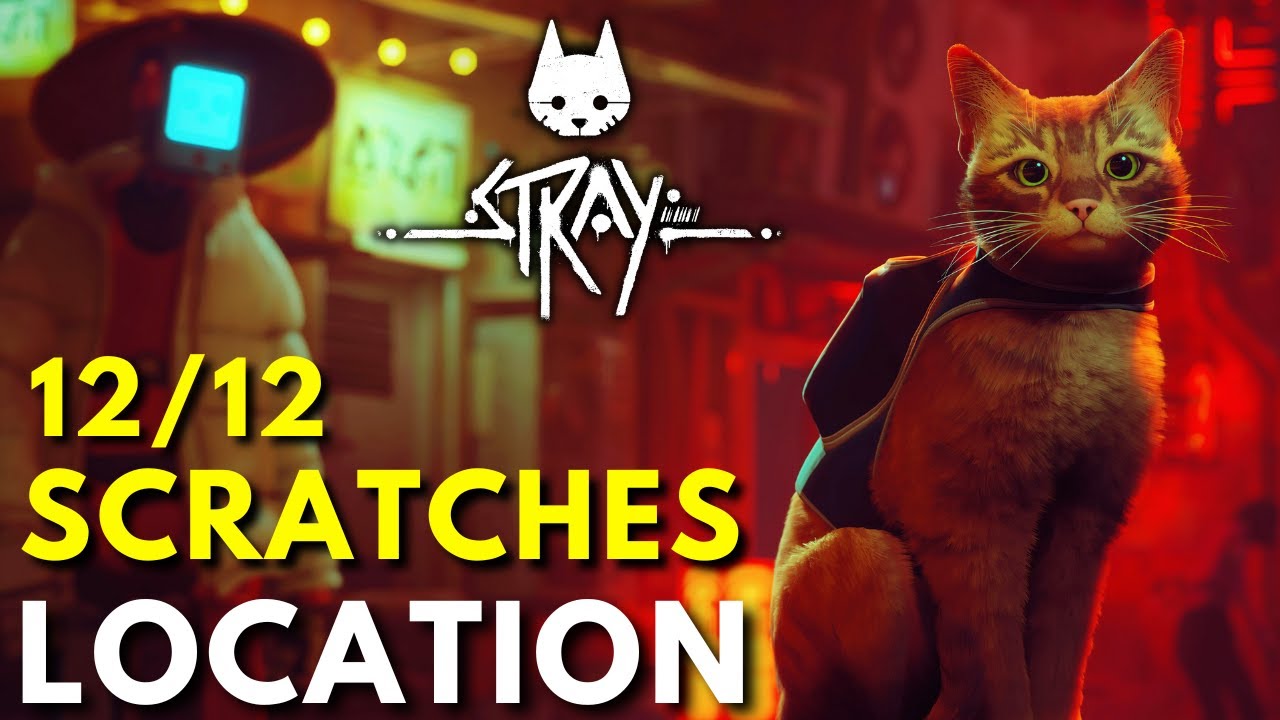 STRAY - How to find All Scratches Location | Full Game (Stray Guide)