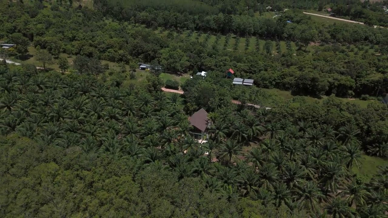 #kohlanta Nowa willa na Koh Lanta, zamieszkaj w tropikalnym raju ⬆️⬇️