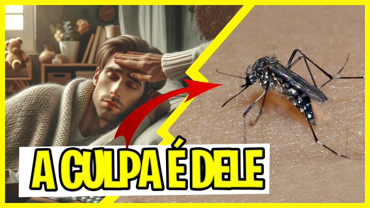 Sintomas da DENGUE e as suas fases