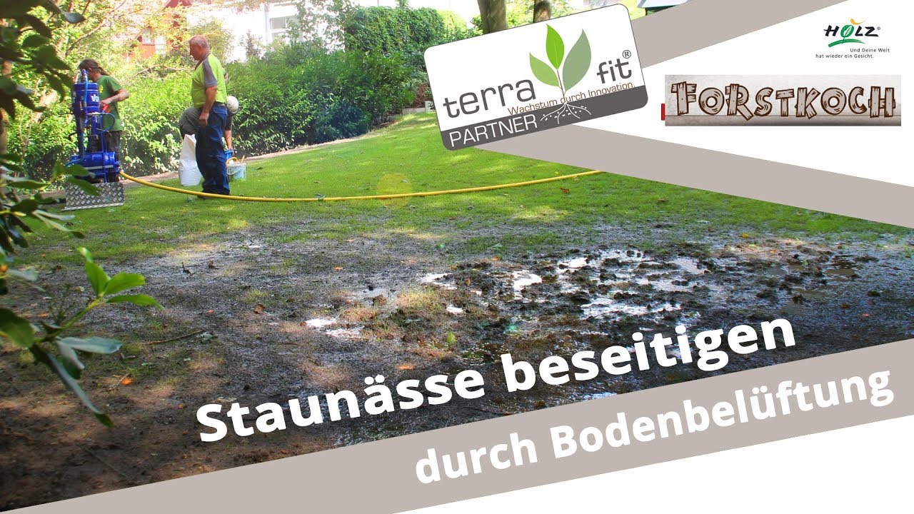 terra fit Partner Forstbetrieb Markus Koch - Staunässe beseitigen