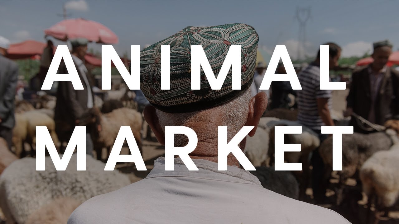 Buying a Goat in China 🇨🇳 Kashgar, Xinjiang