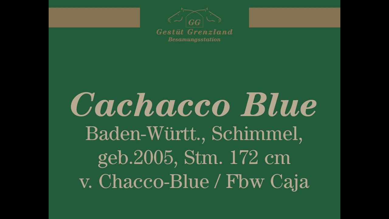 Gestüt Grenzland - Cachacco Blue (Basel 2020)