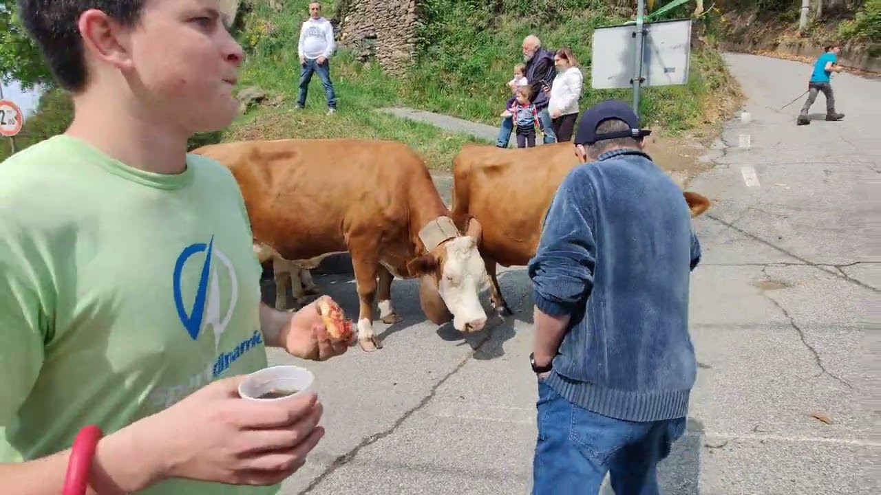 Transumanza Armeno - Coiromonte azienda agricola 