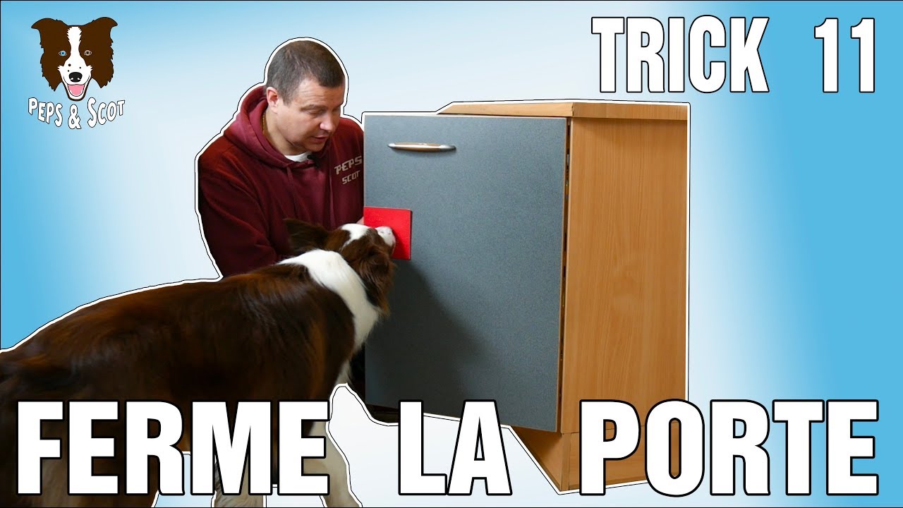 Mon Chien 