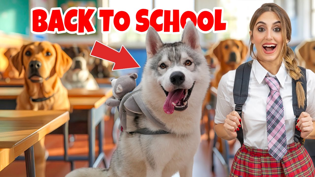 BACK TO SCHOOL: IL PRIMO GIORNO DI SCUOLA DEL MIO CUCCIOLO DI CANE 🐶📚🚌 | MARTY E YUKO