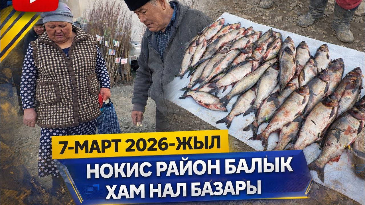 7-МАРТ НОКИС РАЙОН БАЛЫК ХАМ НАЛ БАЗАР БАХАЛАРЫН КОРЕМИЗ