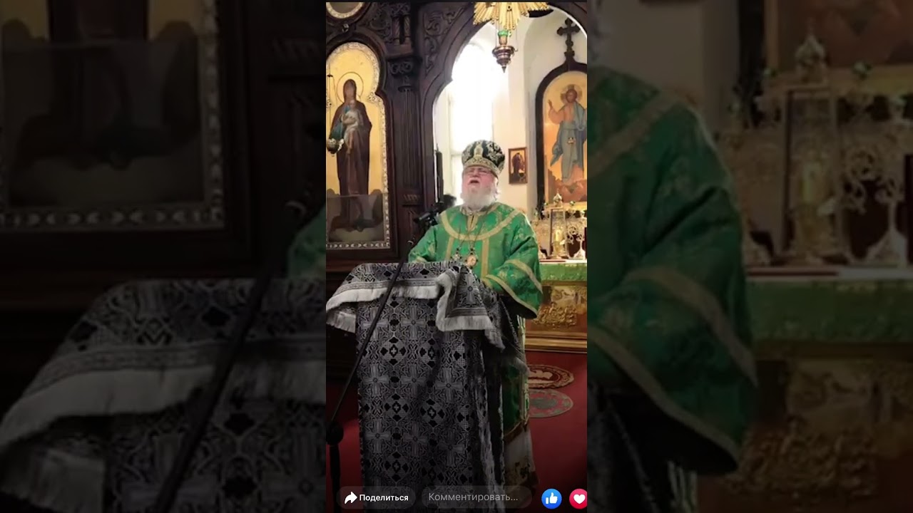 Архиепископ Берлинский и Германский Феофан. Проповедь в Вербное воскресенье, 2016 год . Берлин  