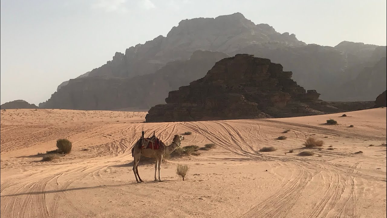 What makes the desert special? /Mitől k&uuml;l&ouml;nleges a sivatag?