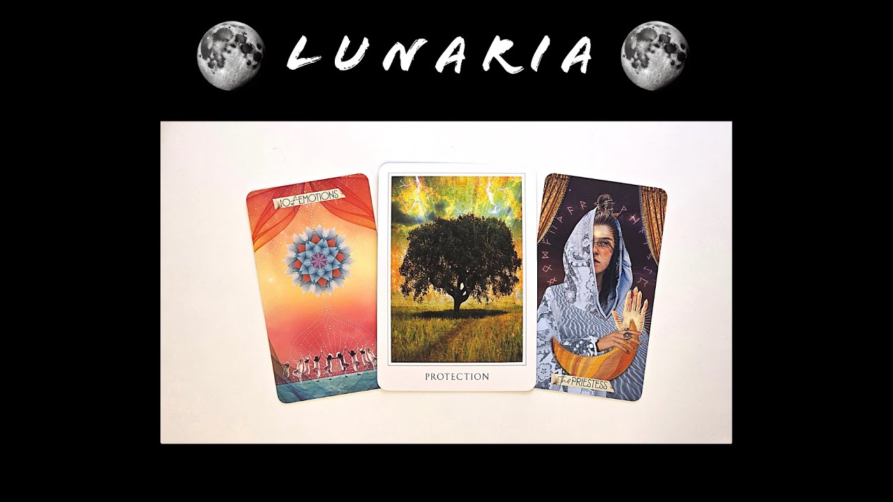 Nyilas újhold ♐🌑 FEMININ gyógyulás ♀️✨🌹