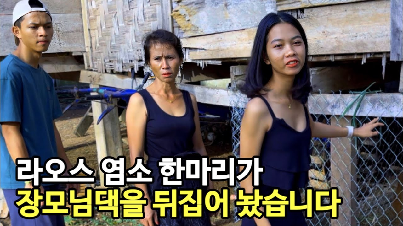 라오스 장모님 댁에서 마지막날 염소에게 당하고 말았습니다 (ft. 외국인 없는 라오스 찐 유원지)