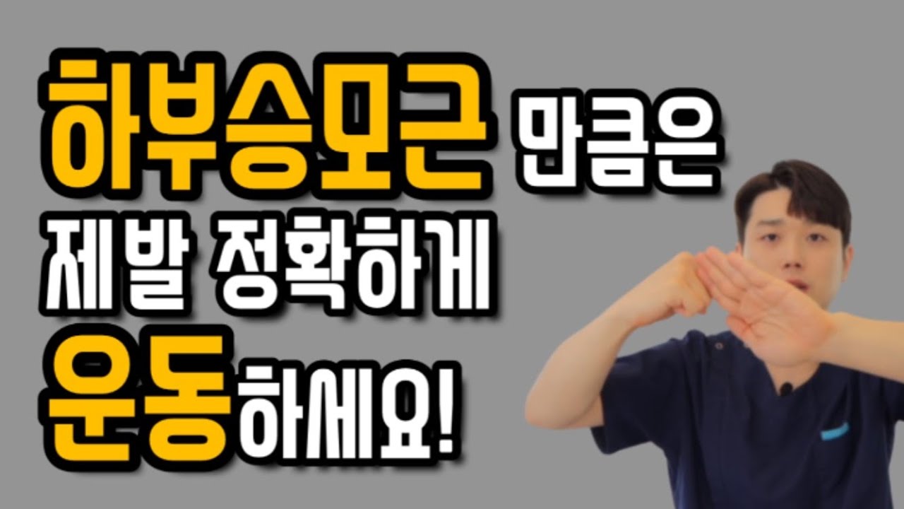 잘못된 하부승모근 운동 & 하부승모근을 정확하게 강화시키는 운동 방법