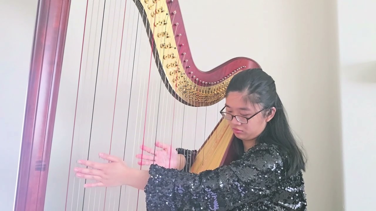 M. Castelnuovo-Tedesco Harp Concertino Mvt 1 (solo version)