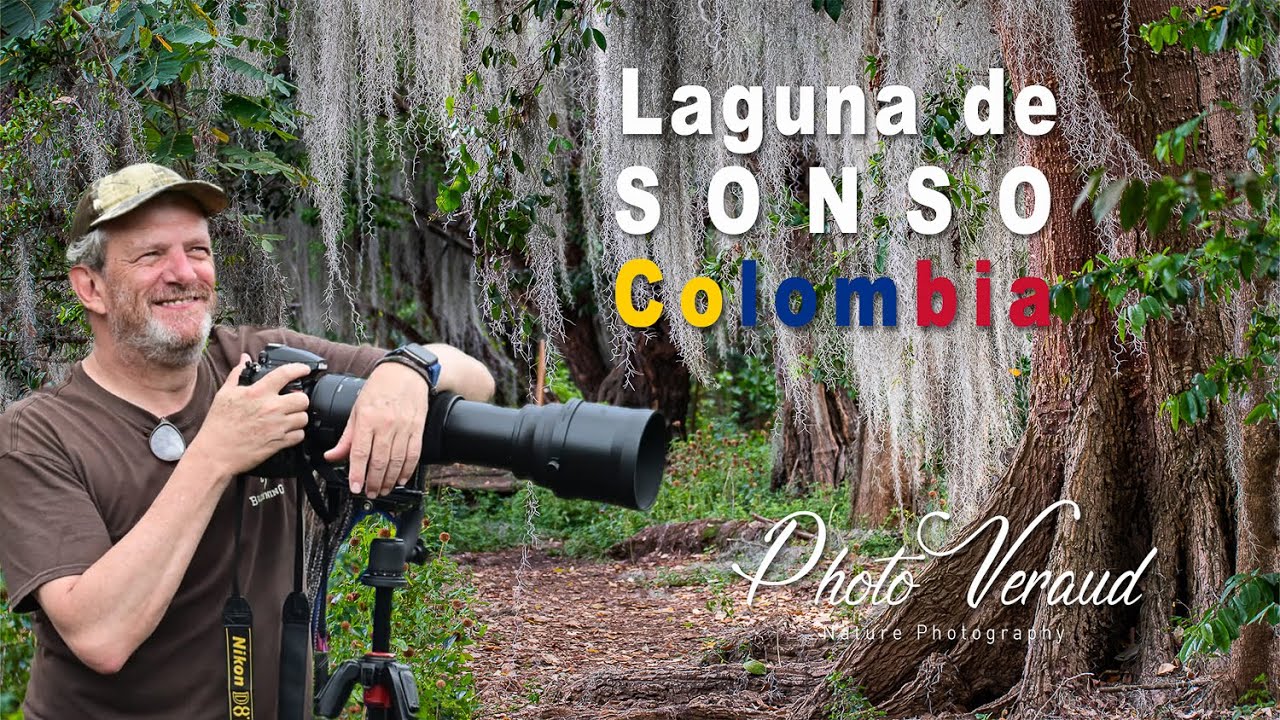 Aventura fotográfica en Laguna de Sonso, Colombia