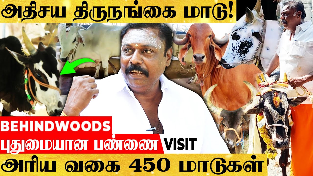 புங்கனூர் முதல் ஒங்கோல் வரை இவர் கிட்ட இல்லாத மாடே இல்ல! இந்திய அளவில் MASS காட்டும் EX. MLA -பேட்டி