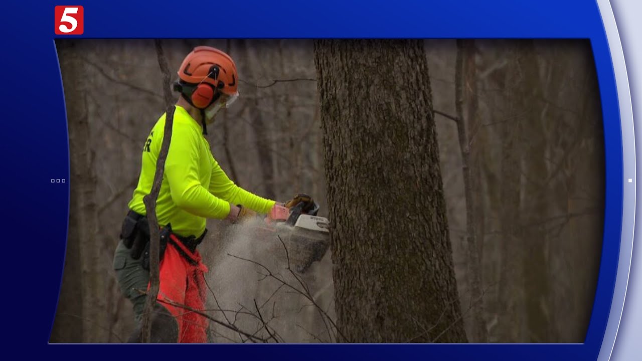 Radnor Lake State Park reopens weeks ahead of schedule