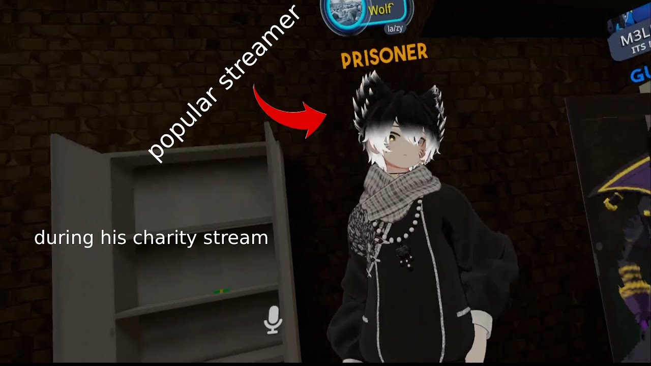 i secretly streamed a popular streamer during his chariety stream (he never knew wuhahaha)