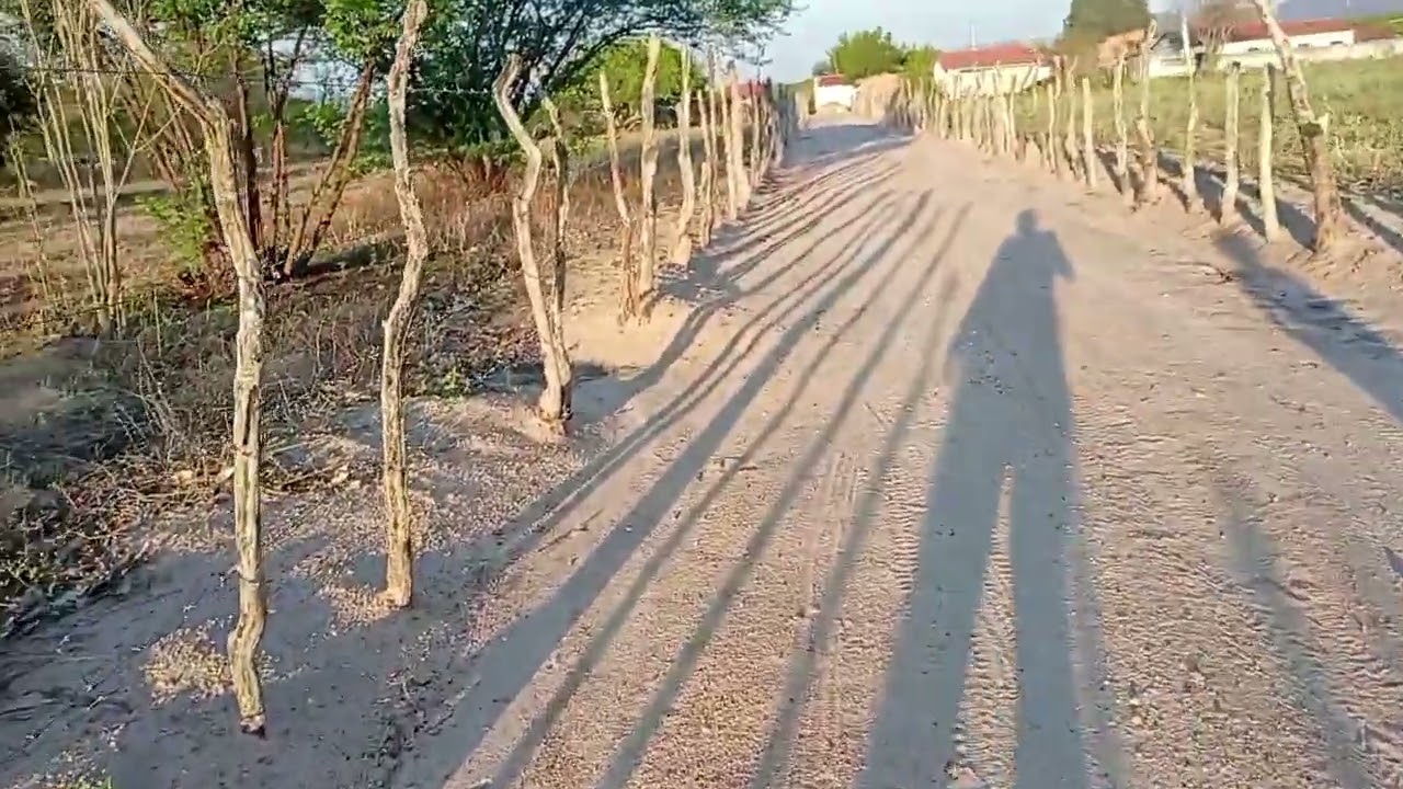 Mas um dia rotineiro com a graça de Deus 