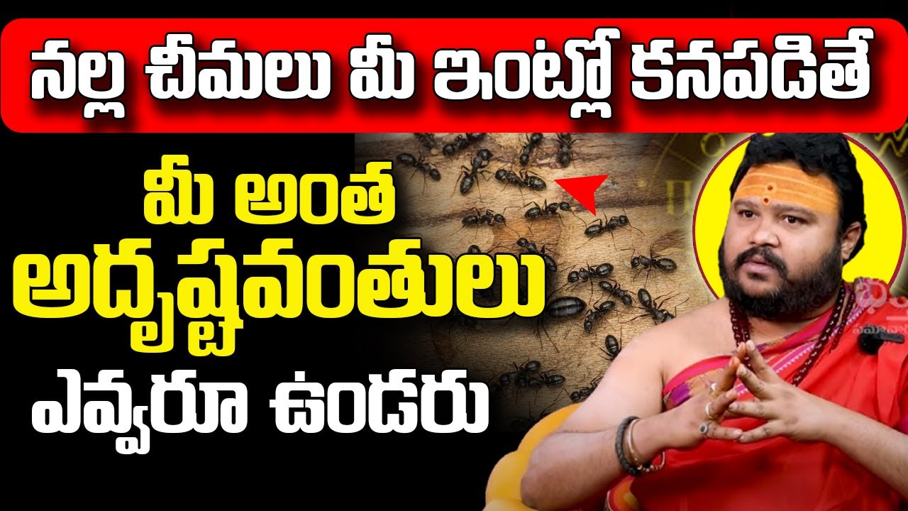 నల్ల చీమలు ఇంట్లో కనిపిస్తే మీ అంత అదృష్టవంతులు ఎవ్వరూ ఉండరు |Nalla Cheemalu| Bhakthi Samacharm Live