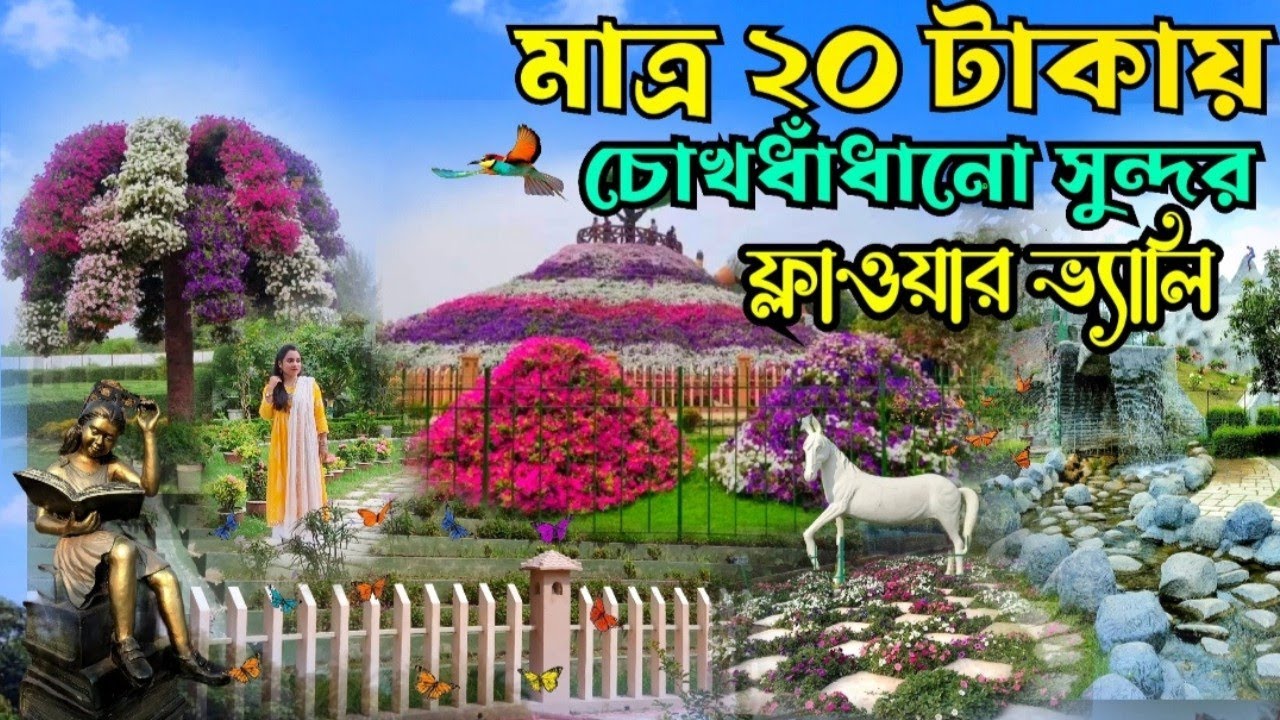 মাত্র ২০টাকায় ঘুরে দেখুন সবচেয়ে সুন্দর ফ্লাওয়ার ভ্যালি || Flower Valley Natore || Green Valley Park