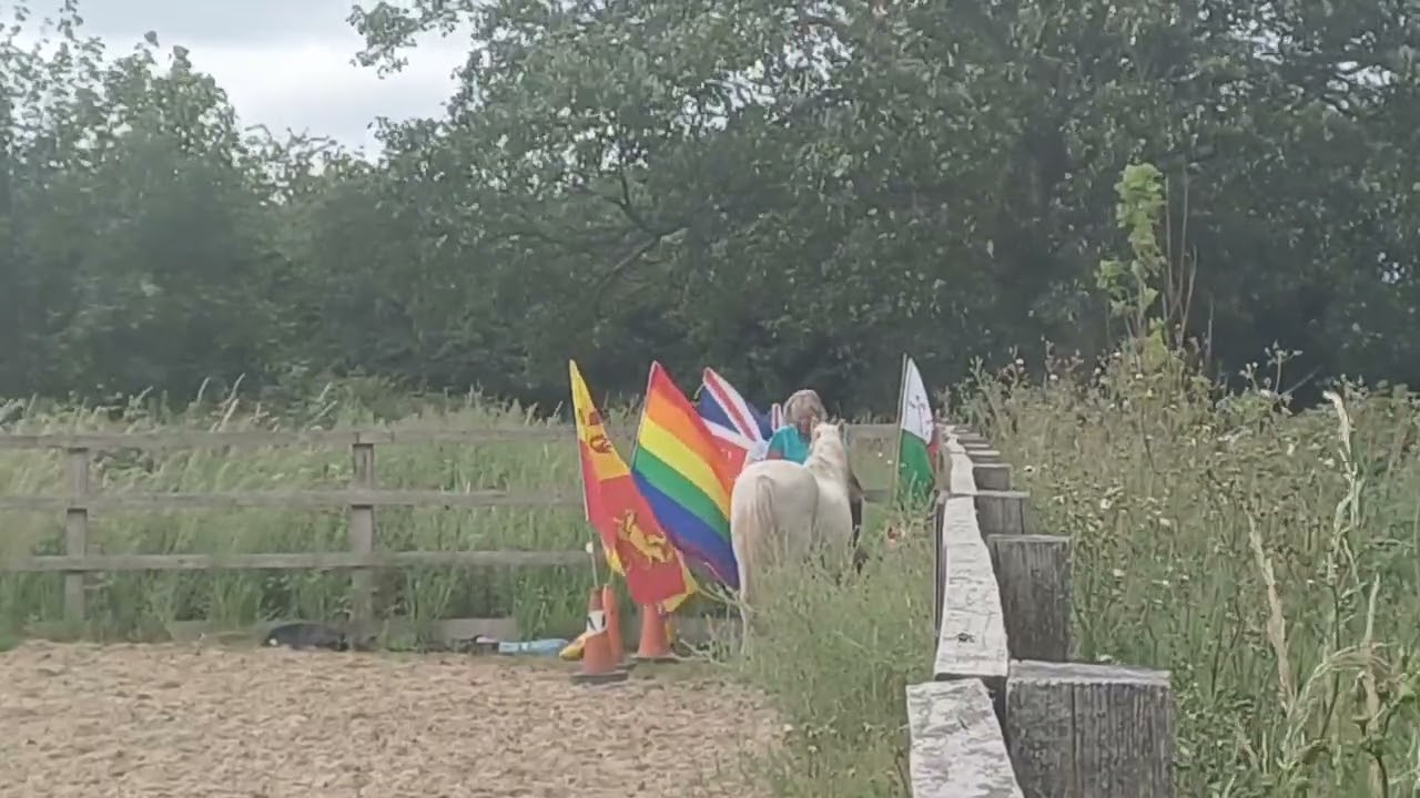 Lucie Mitchell and Basil First level June 2025