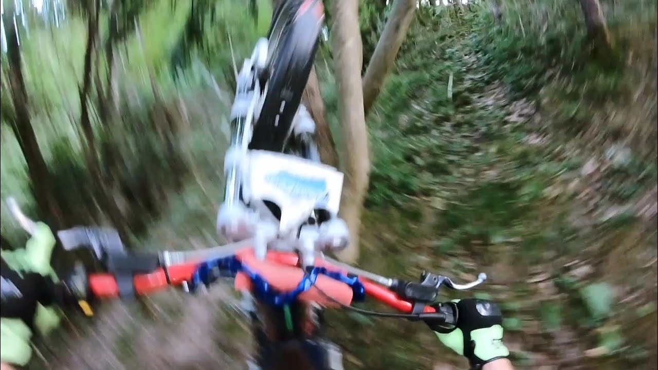 Rincorro una gallina, lancio la moto, cado varie volte, un normale giro insomma...