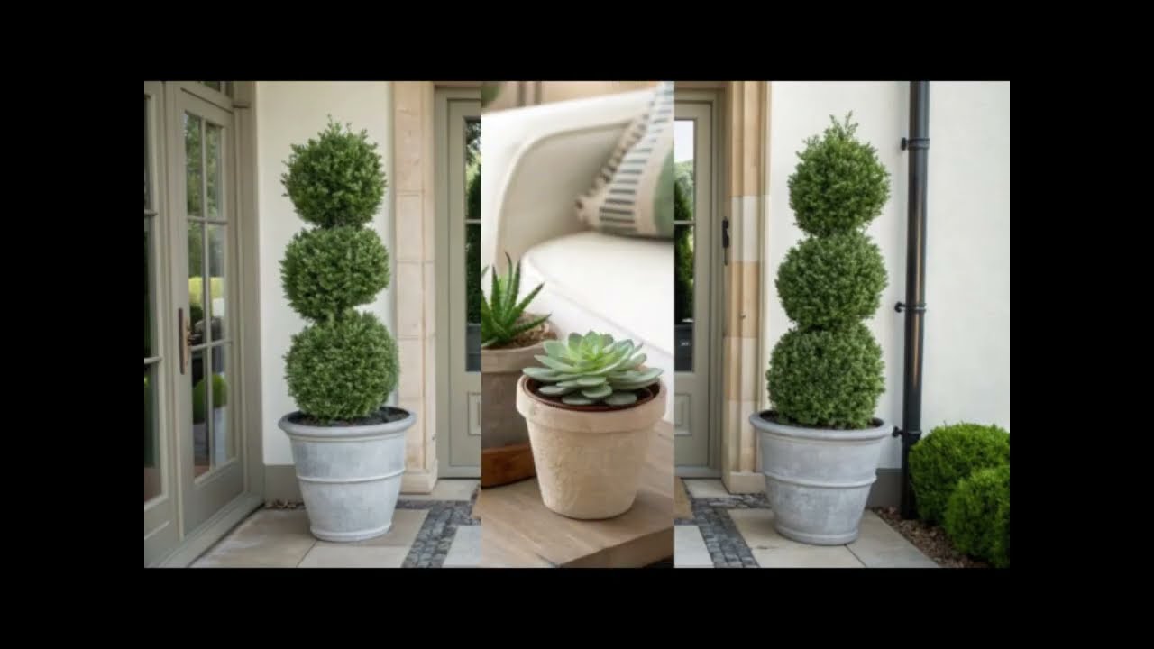 Plantas de interior en decoración: aportan frescura y vitalidad - 002