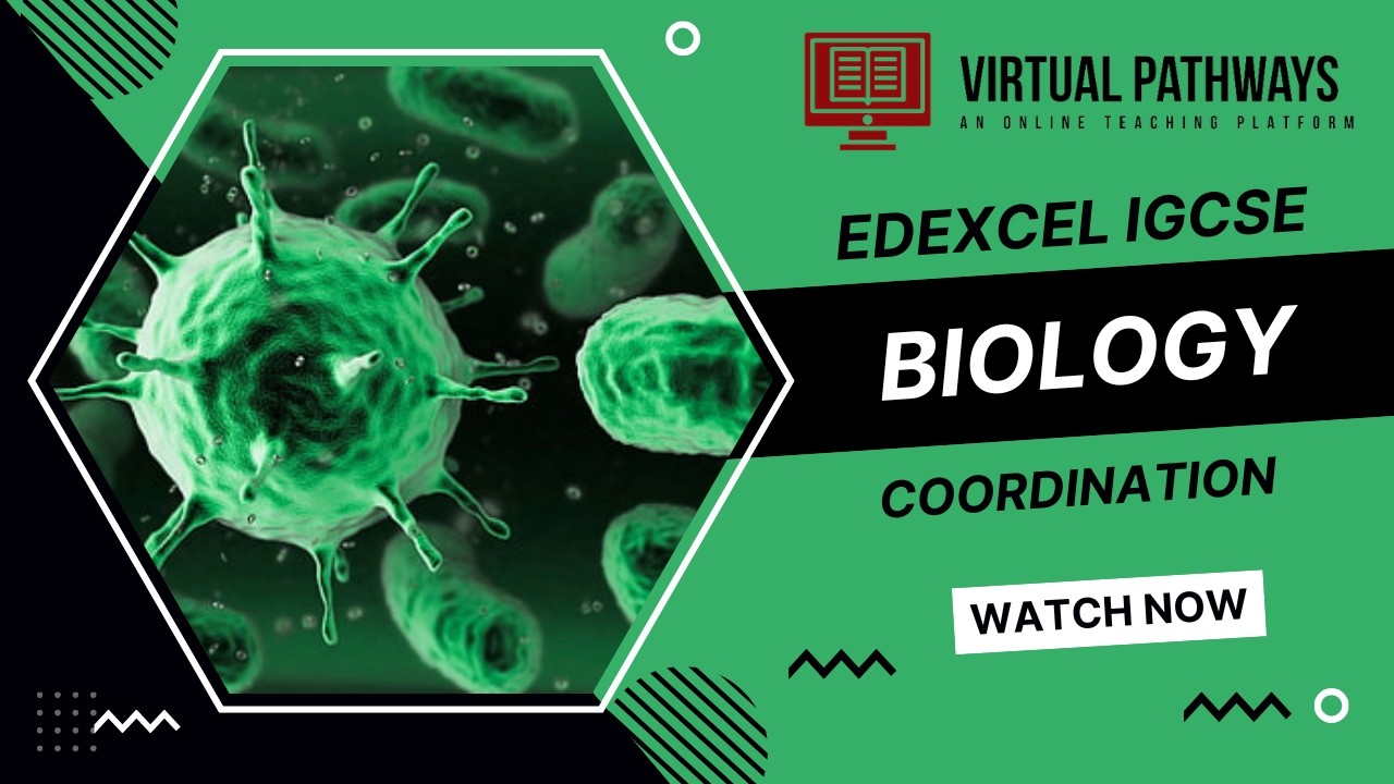 Synapses | Coordination | Edexcel IGCSE (9-1) Biology | Virtual Pathways